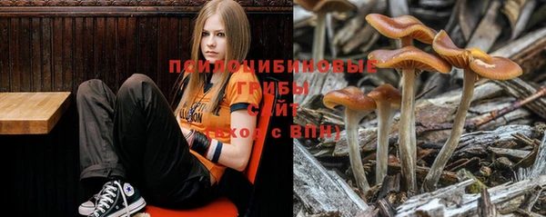 прущий лед Киреевск