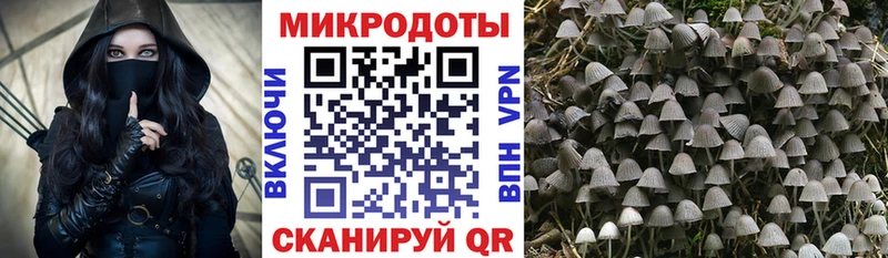 Псилоцибиновые грибы ЛСД  Воркута 