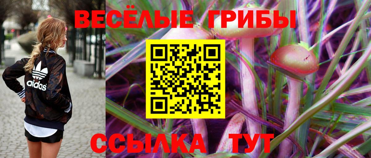Воркута  Галлюциногенные грибы мухоморы  купить  цена  Вход с VPN 