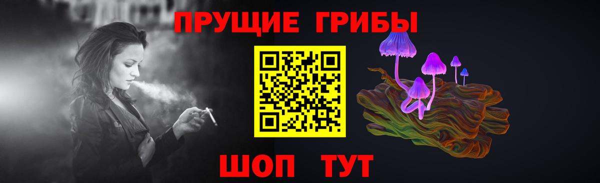 наркошоп  Воркута  Псилоцибиновые грибы GOLDEN TEACHER 